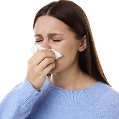 Allergy & Hayfever
