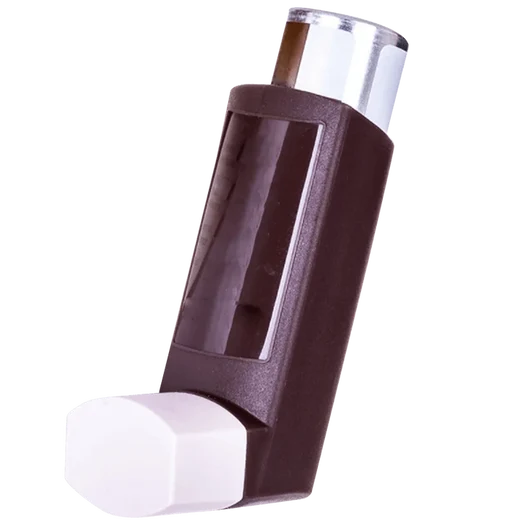 Preventer inhalers